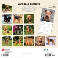 Alternative view of Airedale Terriers 2027 Square Wall Calendar
