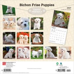 Alternative view of Bichon Frise Puppies 2027 Square Wall Calendar