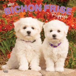 Bichon Frise Puppies 2027 Square Wall Calendar