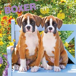 Boxer Puppies 2027 Square Wall Calendar