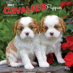 Cavalier King Charles Spaniel Puppies 2027 Square Wall Calendar