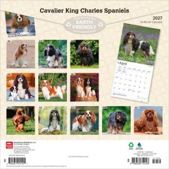 Alternative view of Cavalier King Charles Spaniels 2027 Square Wall Calendar