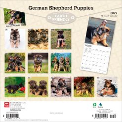 Alternative view of German Shepherd Puppies 2027 Square Wall Calendar