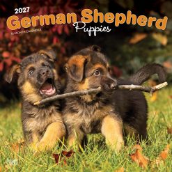 German Shepherd Puppies 2027 Square Wall Calendar