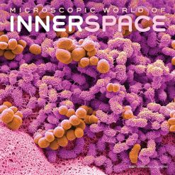 Microscopic World of Innerspace 2027 Square Wall Calendar