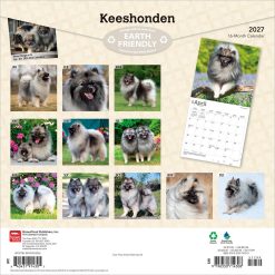 Alternative view of Keeshonden 2027 Square Wall Calendar