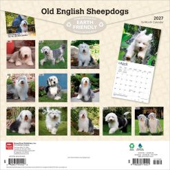 Alternative view of Old English Sheepdogs 2027 Square Wall Calendar