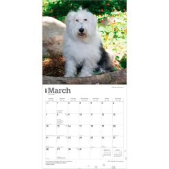 Old English Sheepdogs 2027 Square Wall Calendar - Image 3