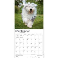 Old English Sheepdogs 2027 Square Wall Calendar - Image 4