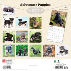 Alternative view of Schnauzer Puppies 2027 Square Wall Calendar