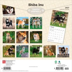 Alternative view of Shiba Inu 2027 Square Wall Calendar