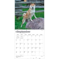 Shiba Inu 2027 Square Wall Calendar - Image 4