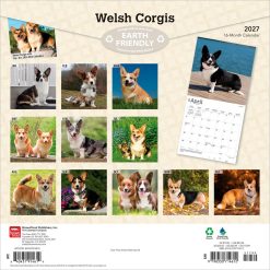 Alternative view of Welsh Corgis 2027 Square Wall Calendar