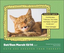Cats Are Cheaper Than Therapy 2027 Boxed Desk Calendar - Image 5