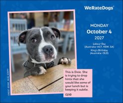 WeRateDogs 2027 Boxed Desk Calendar - Image 3