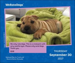 WeRateDogs 2027 Boxed Desk Calendar - Image 4