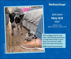 WeRateDogs 2027 Boxed Desk Calendar - Image 5