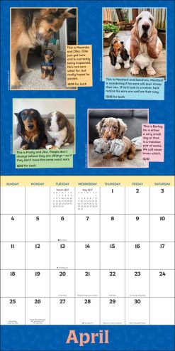 WeRateDogs 2027 Square Wall Calendar - Image 3