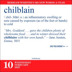 Merriam-Webster's 365 New Words-A-Year 2027 Boxed Desk Calendar - Image 3