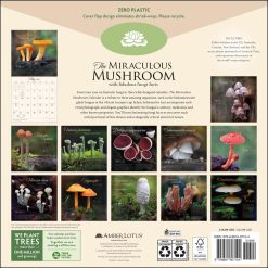 Alternative view of Miraculous Mushroom 2027 Square Wall Calendar
