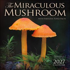 Miraculous Mushroom 2027 Square Wall Calendar