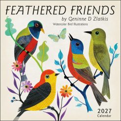 Feathered Friends 2027 Square Wall Calendar
