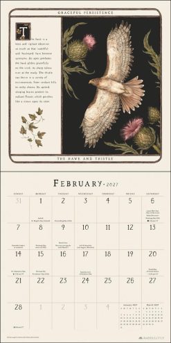 Woodland Wardens 2027 Square Wall Calendar - Image 3