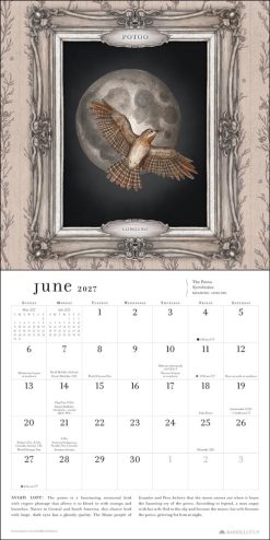 Ornithography 2027 Square Wall Calendar - Image 3