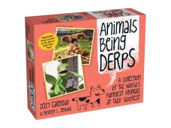 Animals Being Derps 2027 Boxed Desk Calendar