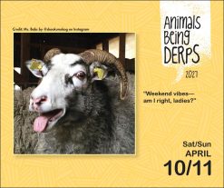 Animals Being Derps 2027 Boxed Desk Calendar - Image 5
