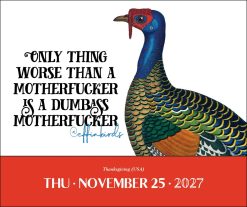 Effin' Birds 2027 Boxed Desk Calendar - Image 3