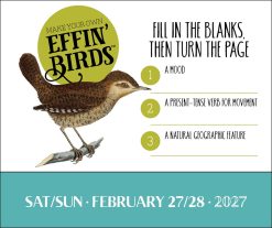 Effin' Birds 2027 Boxed Desk Calendar - Image 5