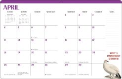 Effin' Birds 2027 Monthly/Weekly Planner Diary - Image 3
