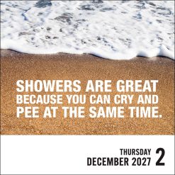 Unspirational 2027 Boxed Desk Calendar - Image 5