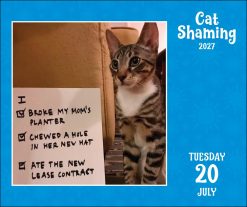 Cat Shaming 2027 Boxed Desk Calendar - Image 3