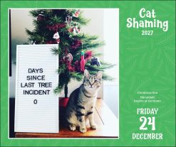 Cat Shaming 2027 Boxed Desk Calendar - Image 4