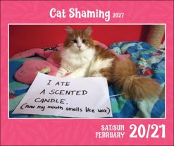 Cat Shaming 2027 Boxed Desk Calendar - Image 5