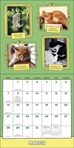 Cats Are Cheaper Than Therapy 2027 Square Wall Calendar - Image 3