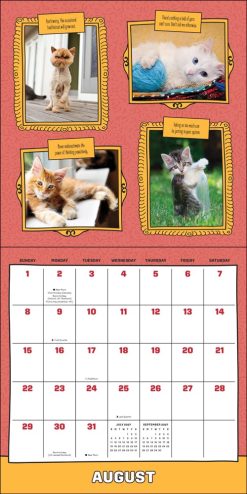 Cats Are Cheaper Than Therapy 2027 Square Wall Calendar - Image 5