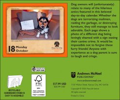 Alternative view of Dog Shaming 2027 Boxed Desk Calendar
