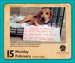 Dog Shaming 2027 Boxed Desk Calendar - Image 3