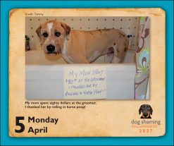 Dog Shaming 2027 Boxed Desk Calendar - Image 4