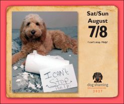 Dog Shaming 2027 Boxed Desk Calendar - Image 5