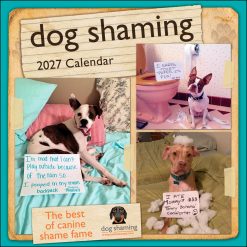 Dog Shaming 2027 Square Wall Calendar