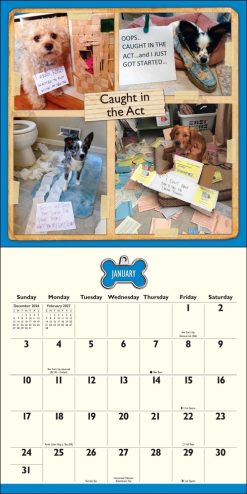 Dog Shaming 2027 Square Wall Calendar - Image 3