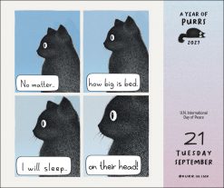 Year of Purrs 2027 Boxed Desk Calendar - Image 3