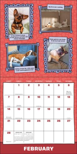Dogs Are Cheaper Than Therapy 2027 Square Wall Calendar - Image 3