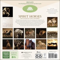 Alternative view of Spirit Horses by Tony Stromberg 2027 Square Wall Calendar