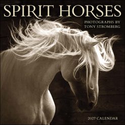Spirit Horses by Tony Stromberg 2027 Square Wall Calendar